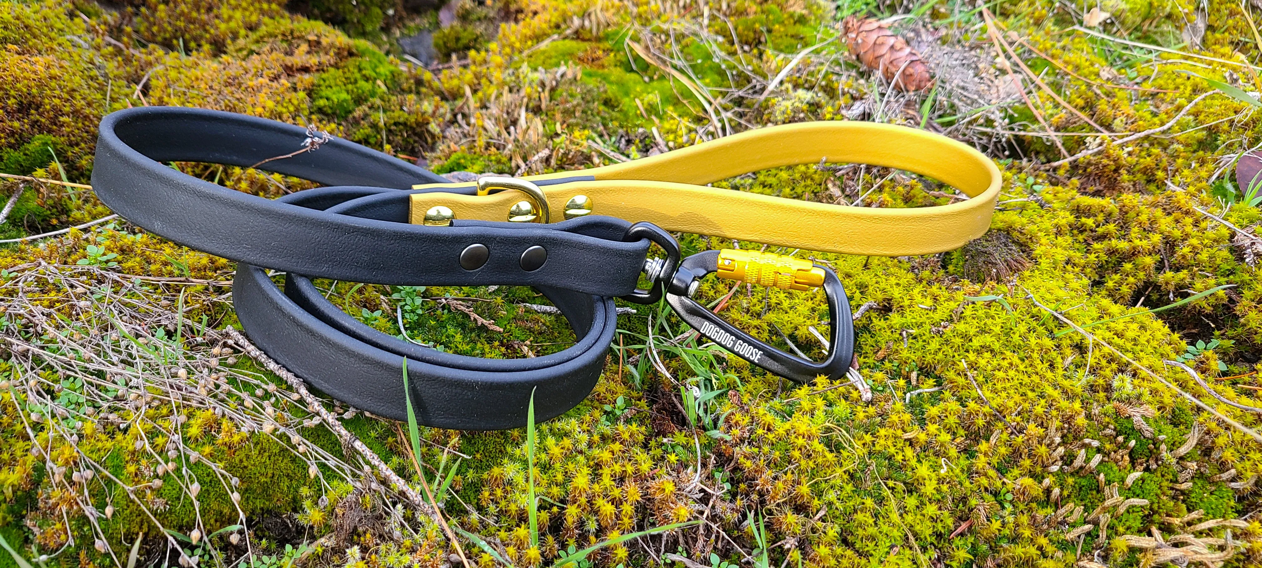 TORO COLLECTION - Black & Gold Biothane Dog Leash