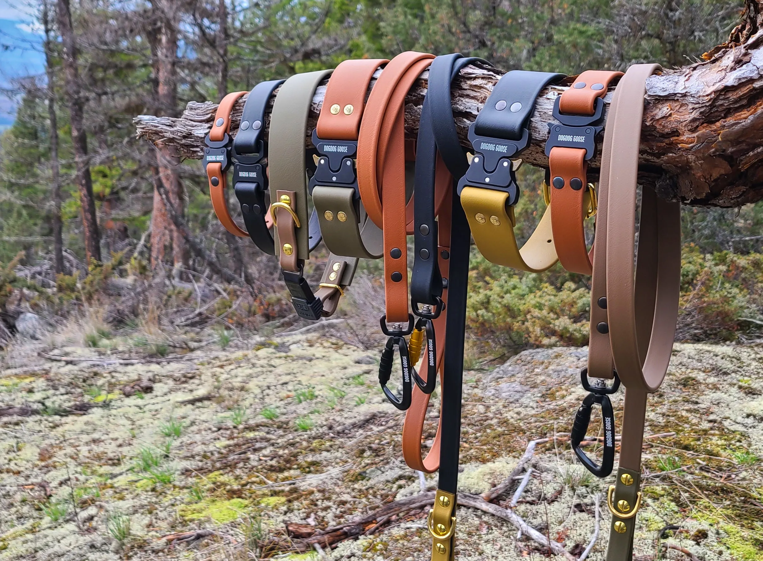 TORO COLLECTION - Tan & Black Biothane Dog Collar