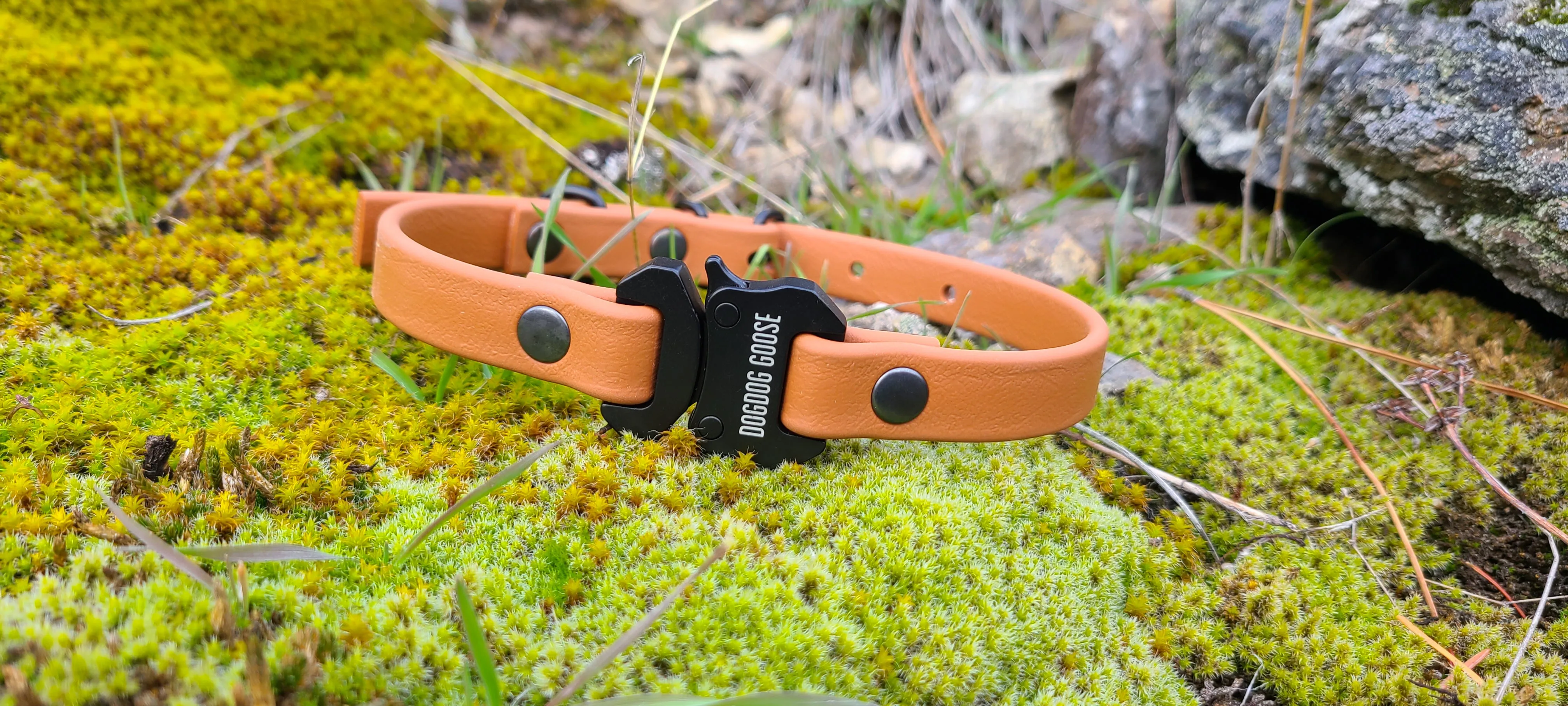 TORO COLLECTION - Tan & Black Biothane Dog Collar