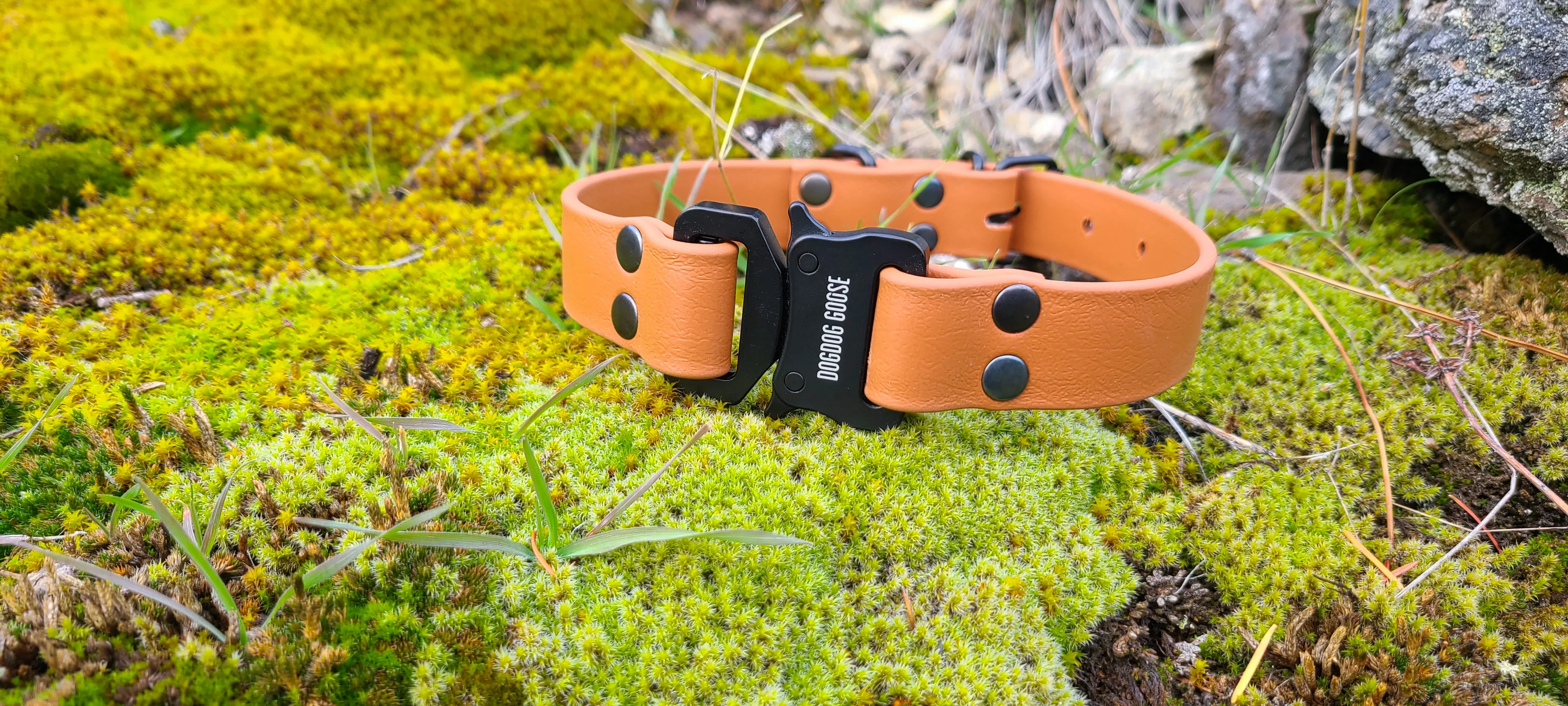 TORO COLLECTION - Tan & Black Biothane Dog Collar