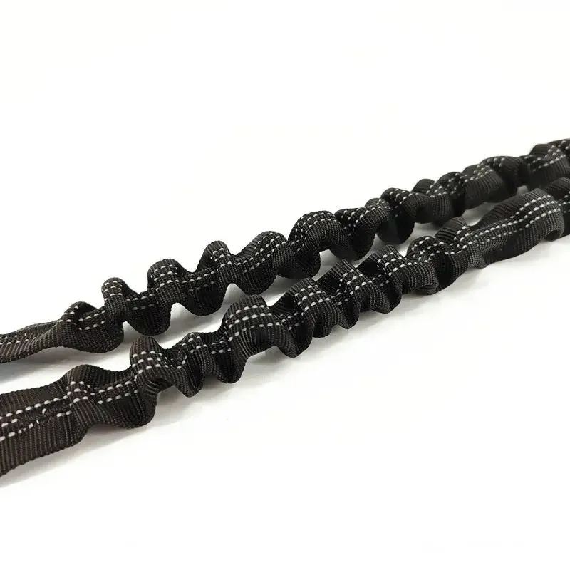 Training Dog Leash - Training Dog to Walk on a Leash
