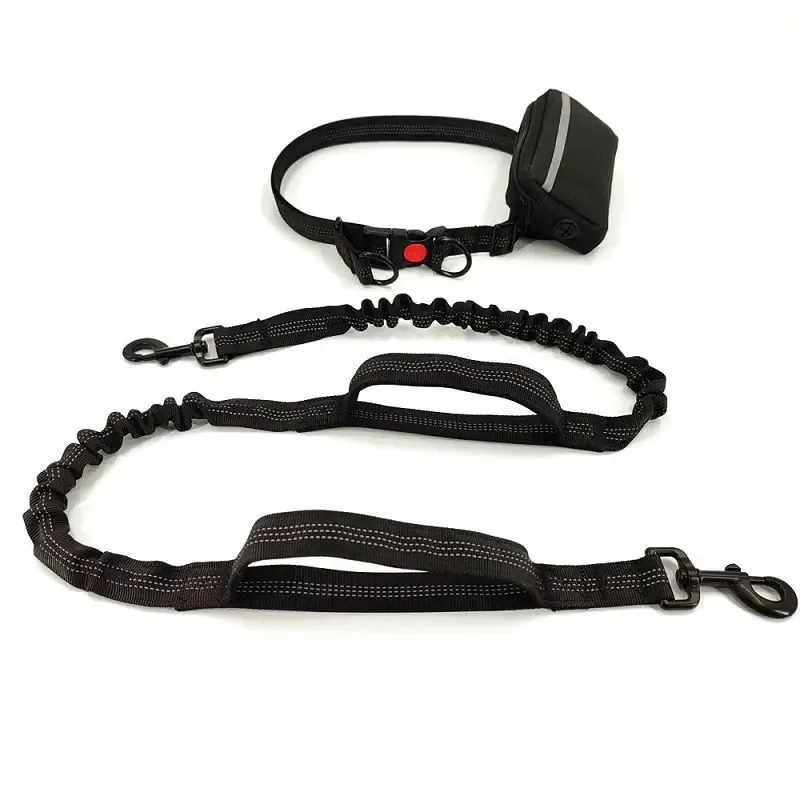 Training Dog Leash - Training Dog to Walk on a Leash
