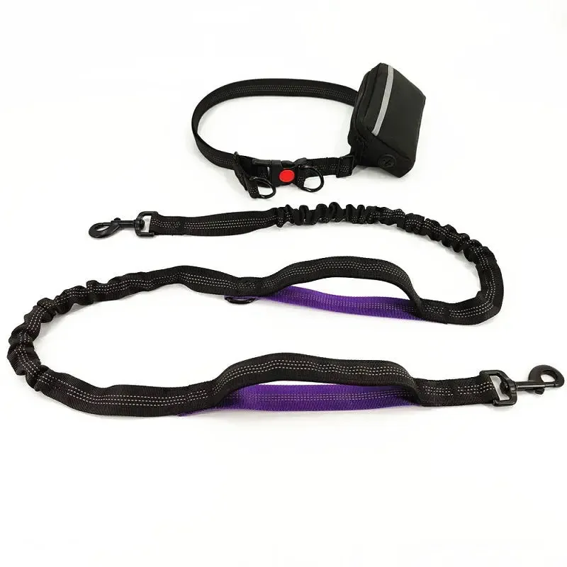 Training Dog Leash - Training Dog to Walk on a Leash