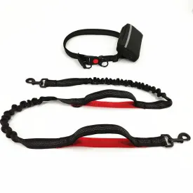Training Dog Leash - Training Dog to Walk on a Leash