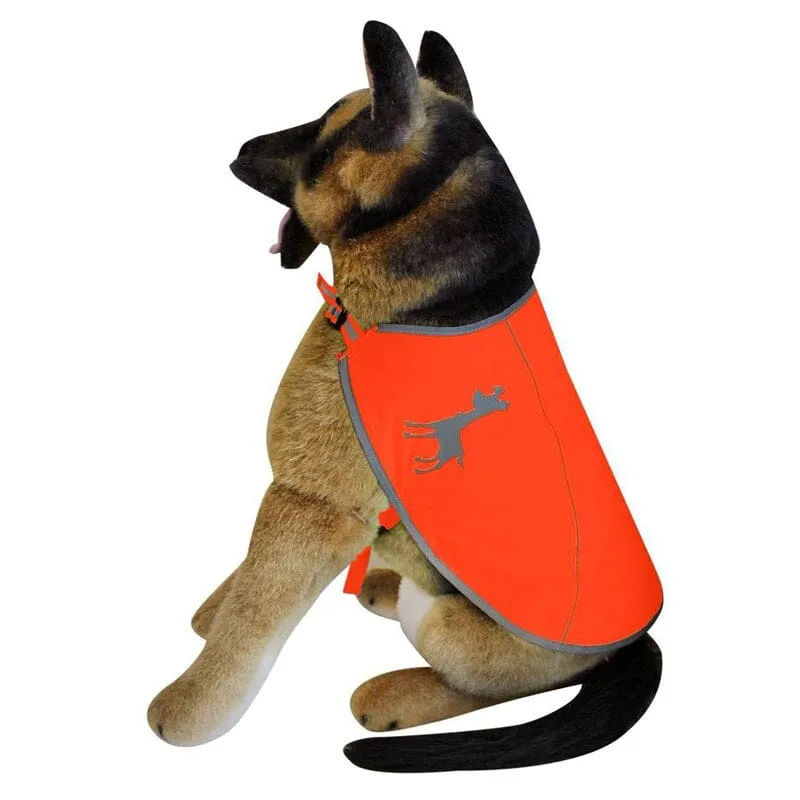 Visibility Dog Vest