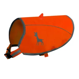 Visibility Dog Vest