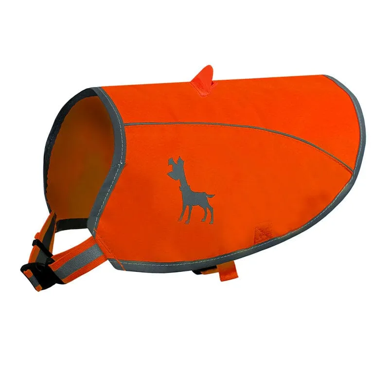 Visibility Dog Vest