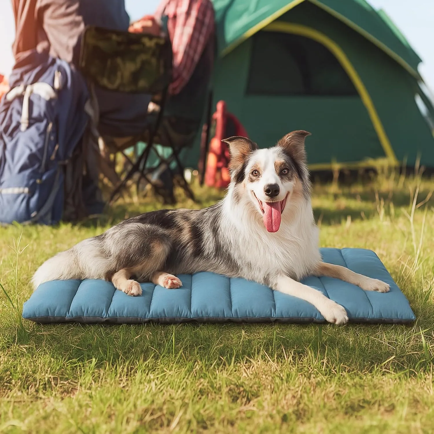 WESTERN HOME WH Outdoor Dog Bed,Large Sized Dog Waterproof Washable Beds for Medium Large Dogs, Portable Camping Travel Pet Bed Mat, 43 x 26 Inch, Sky Blue