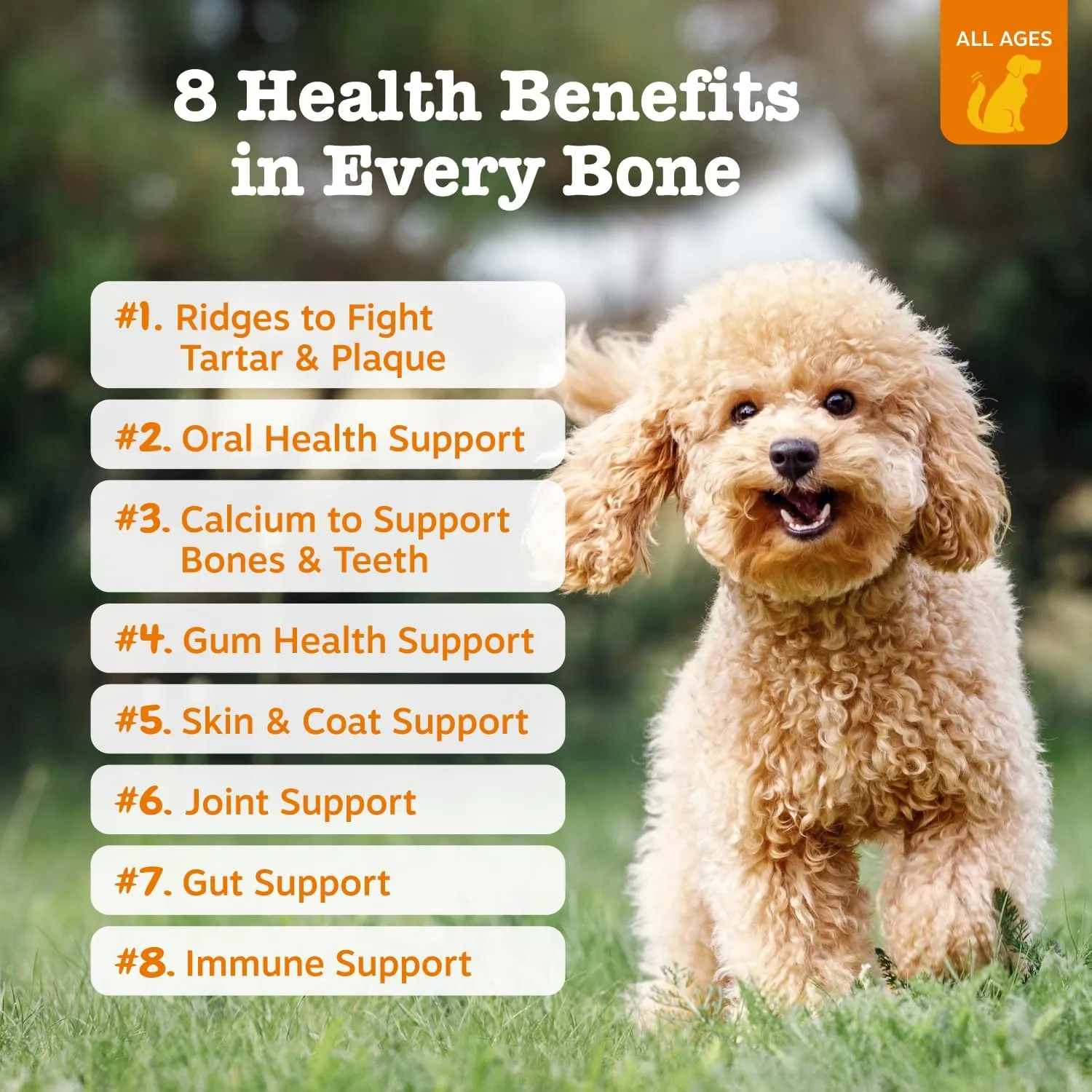 Zesty Paws Dental Bones - Fights Tartar & Plaque - Gum, Teeth & Bone Health - Cinnamon for Dog Breath - Immune, Joint, Gut, Skin & Coat Support - Omega 3 EPA & DHA and Calcium - Medium Dogs - 12 ct