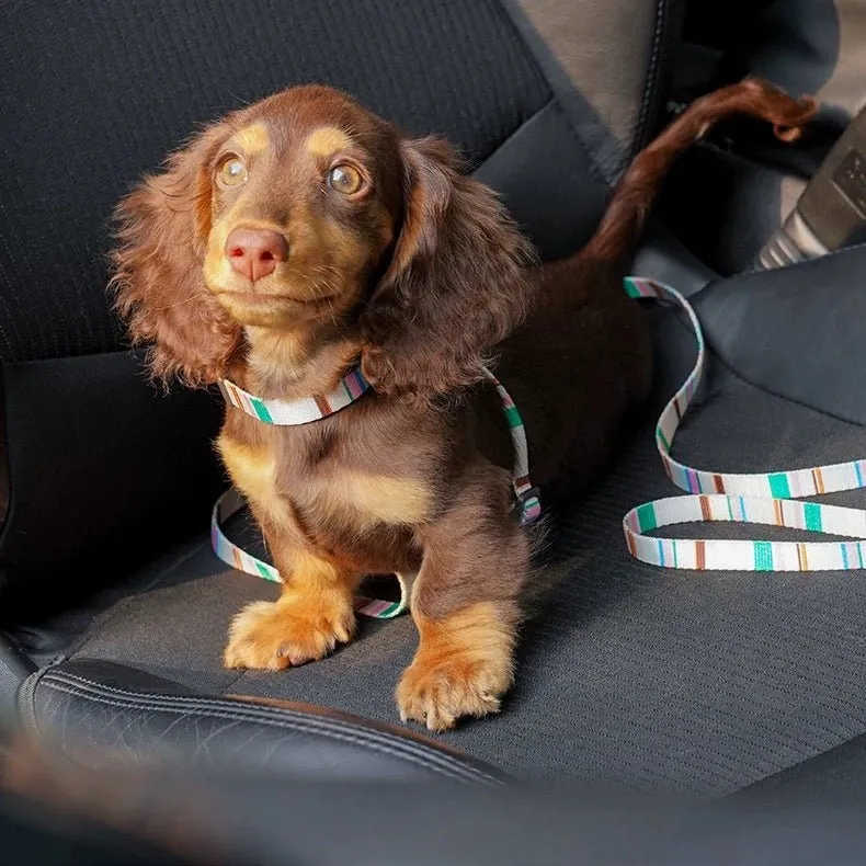 ZEZE French Pet Harness and Lead