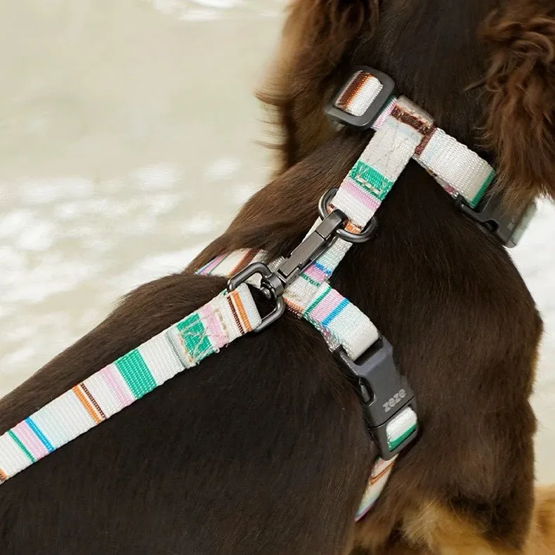 ZEZE French Pet Harness and Lead