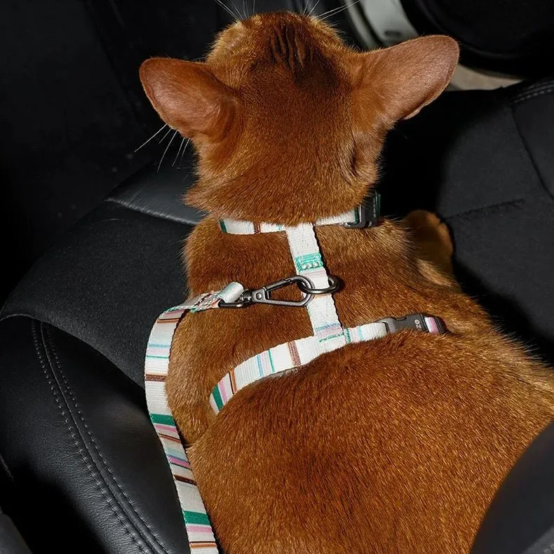 ZEZE French Pet Harness and Lead