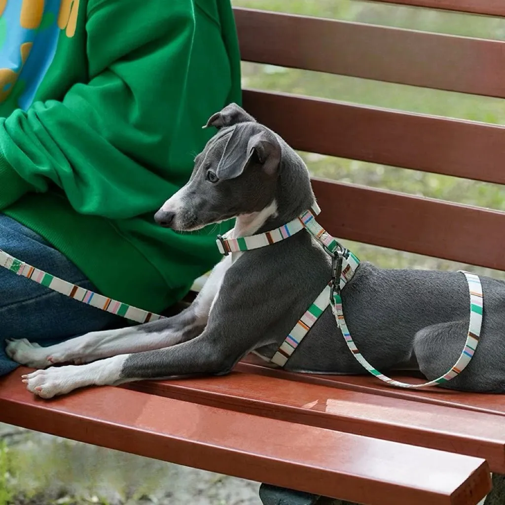 ZEZE French Pet Harness and Lead