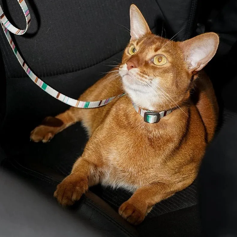 ZEZE French Pet Harness and Lead